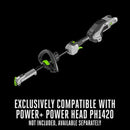 300fa4ff-92bd-4d20-3268-08dcd3ed2856