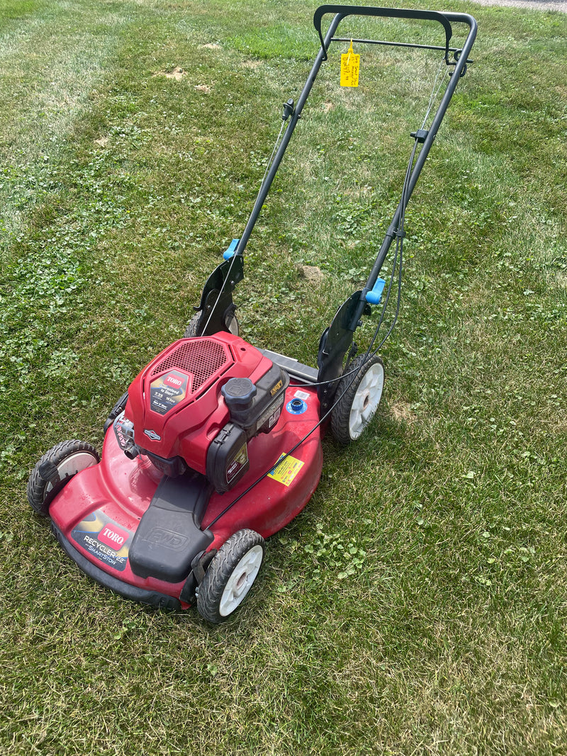 TORO 20339